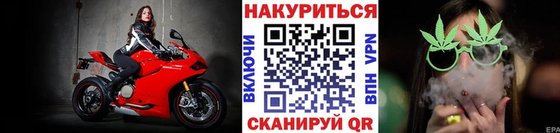 Бошки марихуана Amnesia  магазин продажи наркотиков  Элиста 